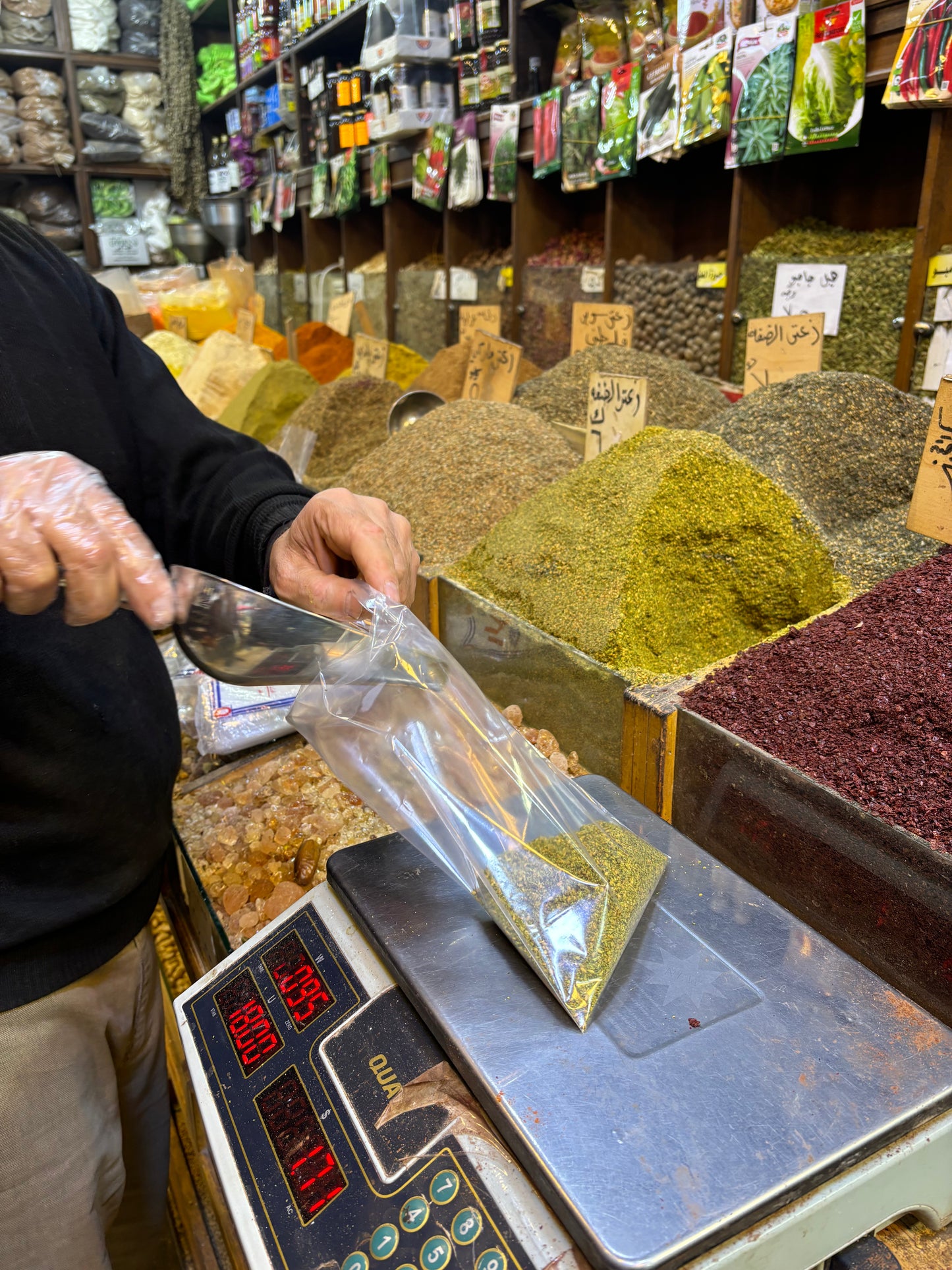 Palestinian Za'atar