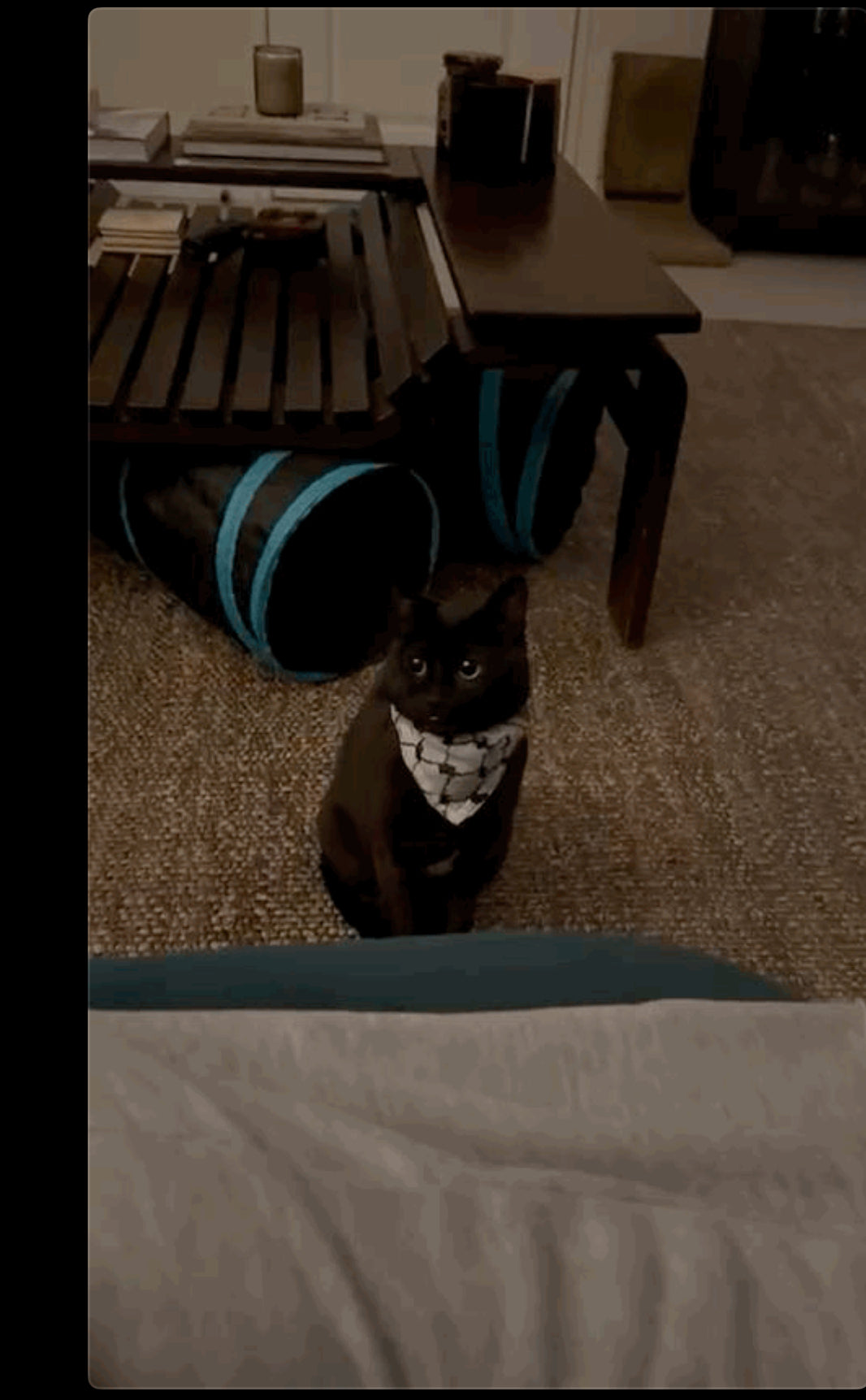 KATTFIYEH