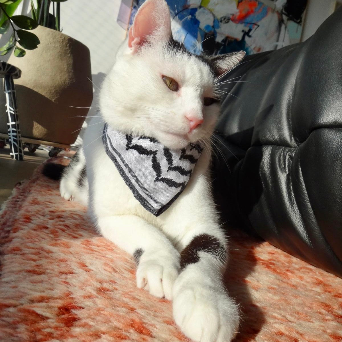 KATTFIYEH
