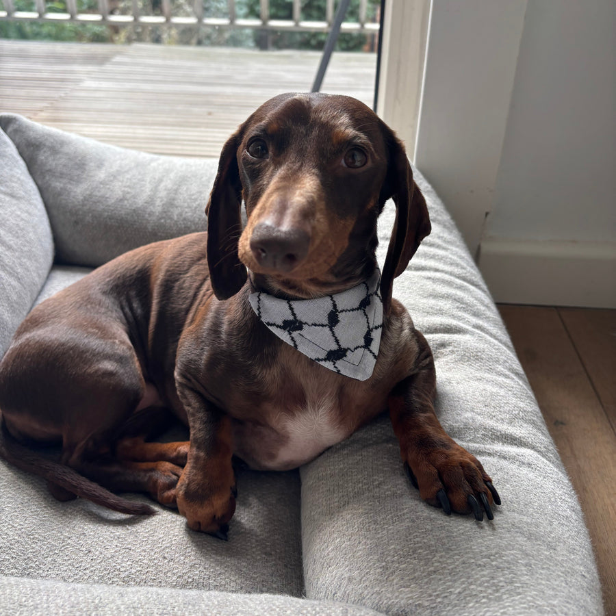 DOGGY KEFFIYEH