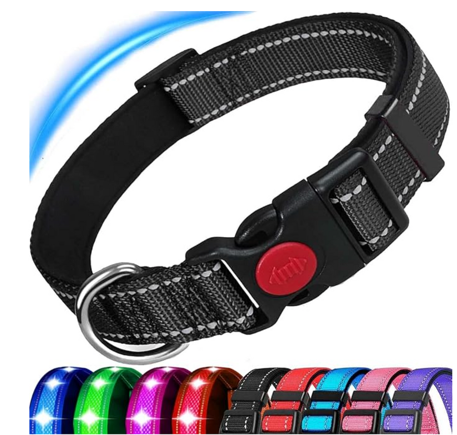 Dog Collar