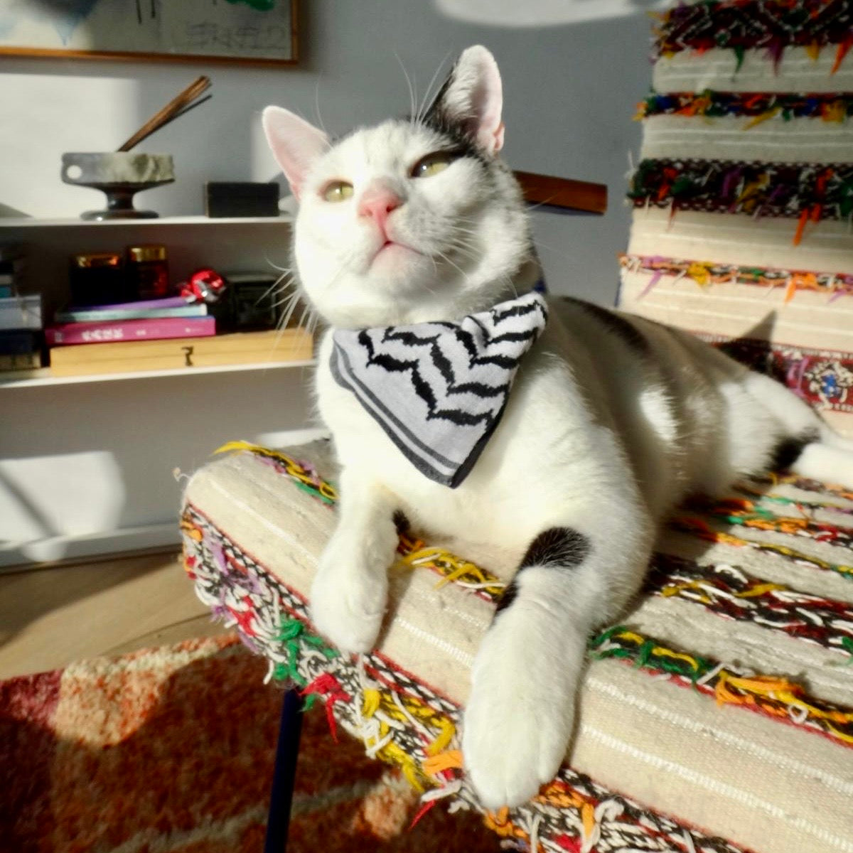 KATTFIYEH