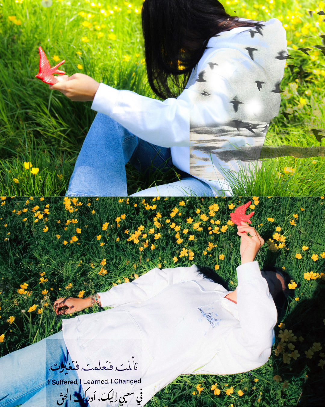 edit 10 8 copy.jpg