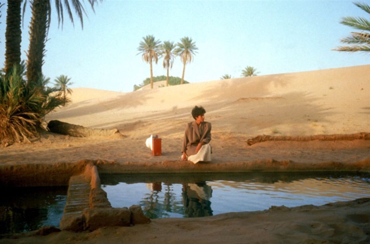 memoirs of palestine
